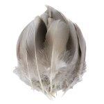 Duck Goose Feathers Supplier - Wholesale Natural Fringe Trim