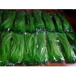 Rooster Feather Fringe Factory - Sewing Green Trim Custom