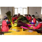 Peacock Feather Supplier - Dyed Natural Party Decor