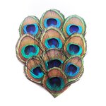 Feather Pads Supplier - Natural Millinery Hair Clip Custom