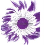 Chicken Hackle Feather Plate Manufacturer - Purple Millinery