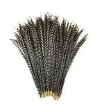 Artificial Pheasant Feather Manufacturer - Long Tail Costume