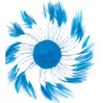 Chicken Hackle Feather Plate Factory - Rooster Millinery Craft