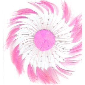 Chicken Hackle Feather Plate Factory - Rooster Millinery Craft