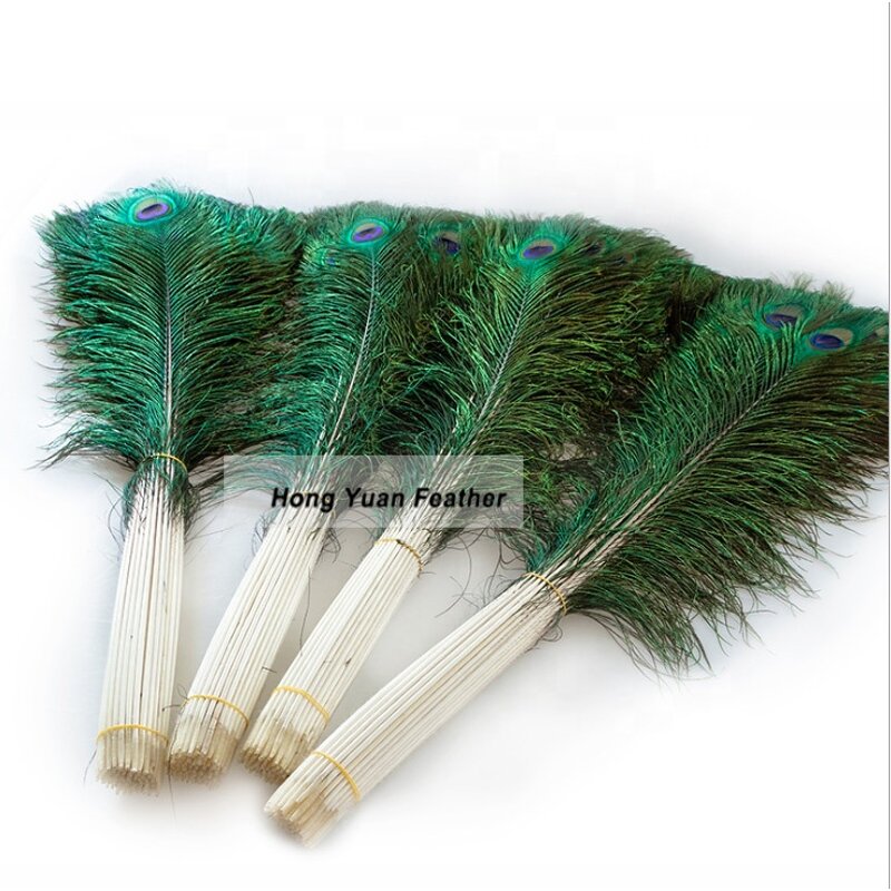 Peacock Feather Factory - Long Natural Wing Vase Decor