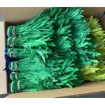 Rooster Tail Feather Manufacturer - Blue Craft Millinery