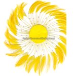 Chicken Hackle Feather Plate Manufacturer - Black Hair Accessory