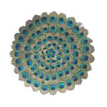 Peacock Feather Placemats Manufacturer - Real Large Eyes Decor