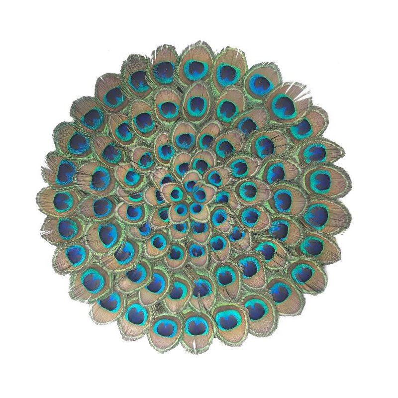 Peacock Feather Placemats Manufacturer - Real Large Eyes Decor