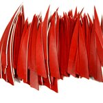Turkey Archery Feathers Manufacturer - Real Fletching Vanes