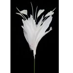 Goose Feather Floral Pick Factory - White Wedding Decor