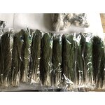 Peacock Feather Supplier - Natural Bark Party Decor