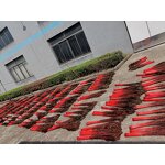 Peacock Feather Supplier - Dyed Natural Party Decor