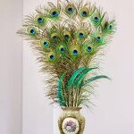 Peacock Feather Supplier - Dyed Natural Party Decor