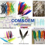 Feather Quill Pen Factory - Vintage Ballpoint Wedding Gift