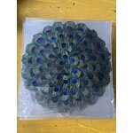 Peacock Feather Placemats Manufacturer - Real Large Eyes Decor