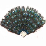 Peacock Feather Hand Fan Supplier - Wholesale Held Fan
