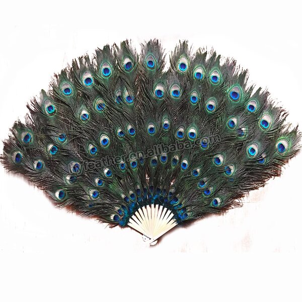 Peacock Feather Hand Fan Supplier - Wholesale Held Fan