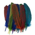 Guinea Fowl Feather Quills Manufacturer - Bulk Dyed Decor