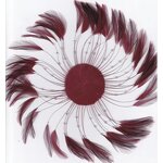 Chicken Hackle Feather Plate Manufacturer - Purple Millinery