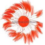 Chicken Hackle Feather Plate Factory - Ivory Wedding Fascinator