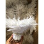 Chicken Feather Craft Supplier - Dyed Party Costume Accessory