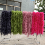 Ostrich Feather Boa Factory - Natural Red Scarf Costume