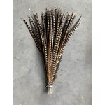 Artificial Pheasant Feathers Manufacturer - Carnival Jewelry