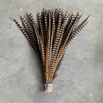 Artificial Pheasant Feather Manufacturer - Long Tail Costume