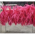 Rooster Tail Feather Factory - Dyed Craft Costume Accessory
