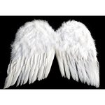 Feather Angel Wings Manufacturer - Adult Large Halloween