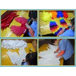 Rooster Feather Angel Wing Supplier - Beautiful Stage Show