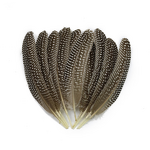 Guinea Fowl Feather Quills Manufacturer - Bulk Dyed Decor