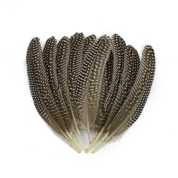 Guinea Fowl Feather Quills Manufacturer - Bulk Dyed Decor