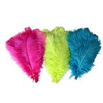 Ostrich Feather Fan Factory - Large Pink Women Party