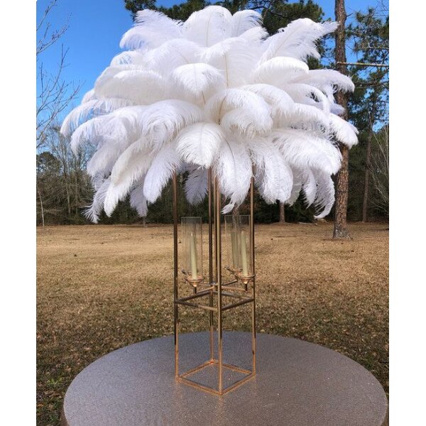 Ostrich Feathers Manufacturer - Bulk Natural Plume Decor
