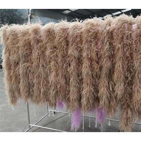 Ostrich Feather Boa Manufacturer - 2ply Brown Scarf Custom