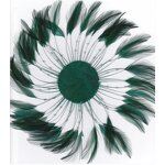 Chicken Hackle Feather Plate Factory - Grey Hair Fascinator