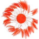 Chicken Hackle Feather Plate Supplier - Black Costume DIY