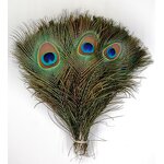 Peacock Feathers Factory - Natural Eye Party Decor