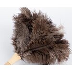 Ostrich Feather Duster Supplier - Wholesale Eco-friendly Grey