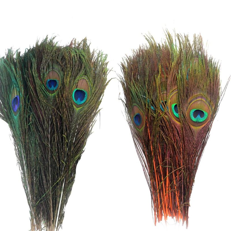 Peacock Feathers Factory - Natural Eye Party Decor