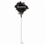 Ostrich Feather Duster Manufacturer - Eco-friendly Reusable