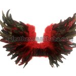 Rooster Feather Angel Wing Supplier - Beautiful Halloween