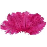Ostrich Feather Fan Factory - Large Pink Women Party