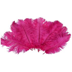 Ostrich Feather Fan Factory - Large Pink Women Party