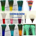 Peacock Feather Supplier - Dyed Natural Party Decor