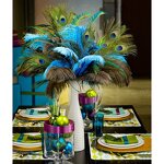 Peacock Feather Factory - Long Natural Wing Vase Decor