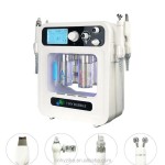 皮肤护理仪器源头工厂 - 四合一H2O2设备代工