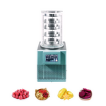 Freeze Dryer Supplier - OEM Laboratory Benchtop Vacuum Lyophilizer